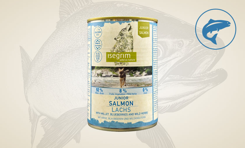 Łosoś + Kasza jaglana, Borówki i Dzikie Zioła | Junior 400g